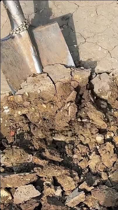 «Дирекция парков и скверов» наводит чистоту и порядок в парке «Дружба» и сквере Воинам - интернационалистам