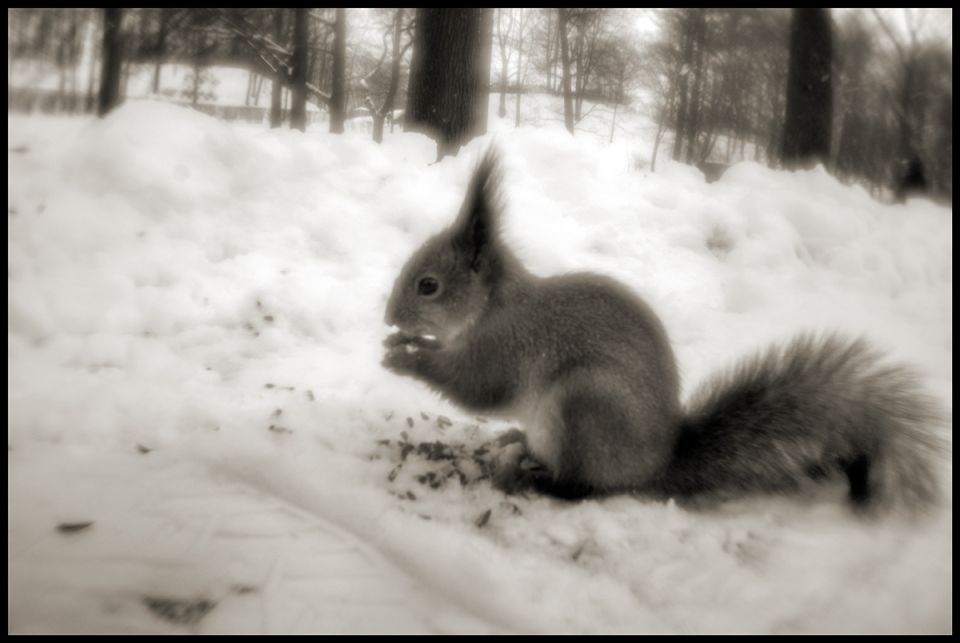 ����������� � ������ � ���������