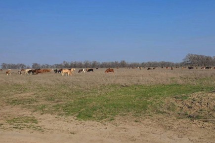 ������������ ��������� ��������� �������� ���������� ������� � ��������� ������