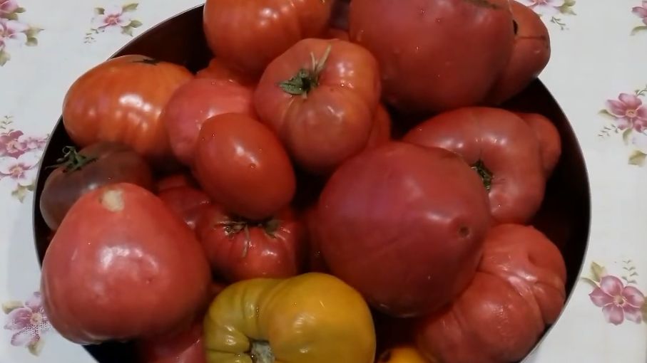 Уникальный способ переработки переспелых помидоров в кетчуп за 38 минут