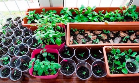 ����� ��� ������� � �������: ��� ������ � �����