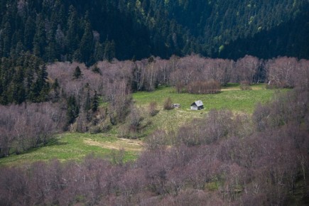 ����� ���������: ����������� ��� ��������, �� � ����������