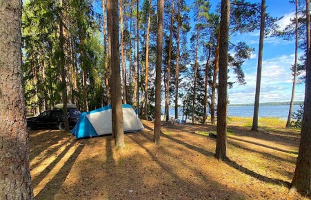 ���������� ���� ��� ��������� ����� �� �������