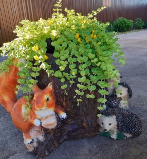 �������� ���������: ��������� ������� ��� ������ ����