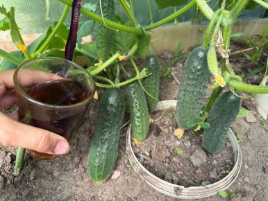 ��� 1 ���� ��������� �������� ���������� ��� ������ � ��������� ���