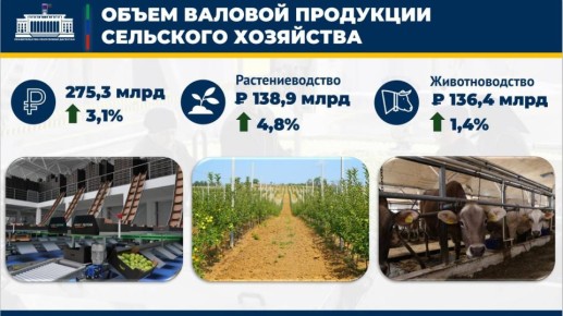 275,3 млрд рублей составил объем производства продукции сельского хозяйства за 2025 год