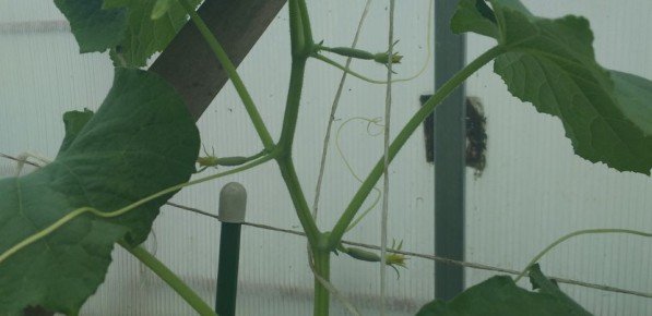 �������� ������� �������: ��� �������� �������� ������