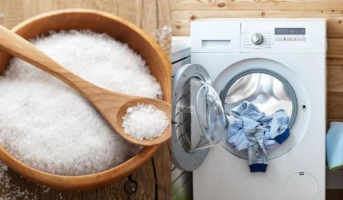 ��� ���� ������ ����� ���� ����� �������� ������ ����� ���������� ������