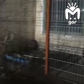 �� ��������, ����� �������� � ��� �� ����� ���� �� ������������ �������� ��������, ������� ��������� � ���������