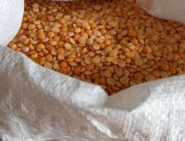 Горох для кур: как правильно вводить в рацион и его преимущества