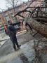 Коммунальные службы города продолжают ликвидировать последствия непогоды — проводится спил аварийных стволов и вывоз порубочных остатков