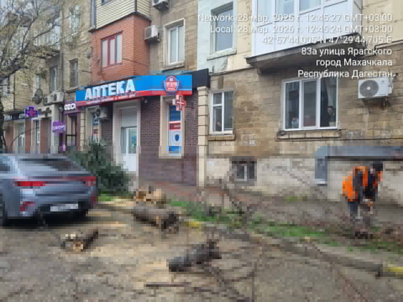 Коммунальные службы Махачкалы оперативно отреагировали на факты падения деревьев из-за сильного ветра и обильных осадков – проводится спил аварийных стволов и вывоз порубочных остатков Коммунальные службы Махачкалы оперативно отреагировали на факты падения деревьев из-за сильного ветра и обильных осадков – проводится спил аварийных стволов и вывоз порубочных остатков