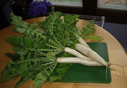 ������ � ������� ����� �� ������� � ��������