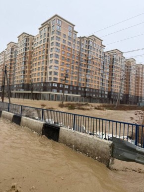 �������� �������� ��������������� ���� ������� �������� �������� �������������