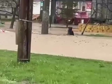 ����� ���. ����� ������� ������� ���� �� ������ ���������