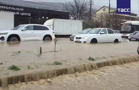 � ��������� ����������� ����������� ������� ������ � ����������� �����, ������ ����� ���������� ������ �������