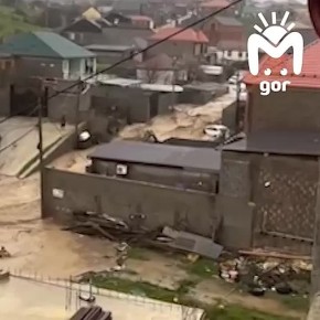 � ����� �� ������������� � ��������� ������� �������� ��������: ������ ������ �� ���� � �� ������ ���������, � ���� ������� � ������� � ������