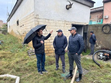 �������� ������������� ���������� ������� �� �������� ���������� ������� ��� ����������� ���������� ����������� ��