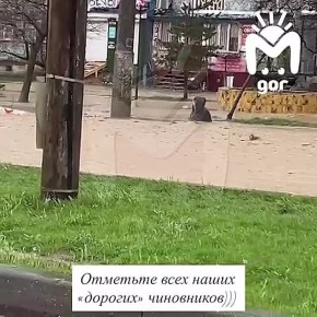 �������������� "��������" � ����� ������� ������ �������� ������