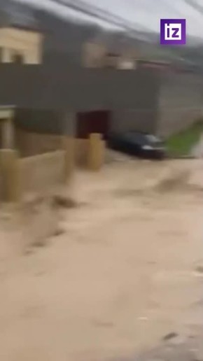 � ��������� ����� ����� ������������ �������� ��-�� �����������, ��������� � ���������� ���������������� �����, �������� ������������� ������