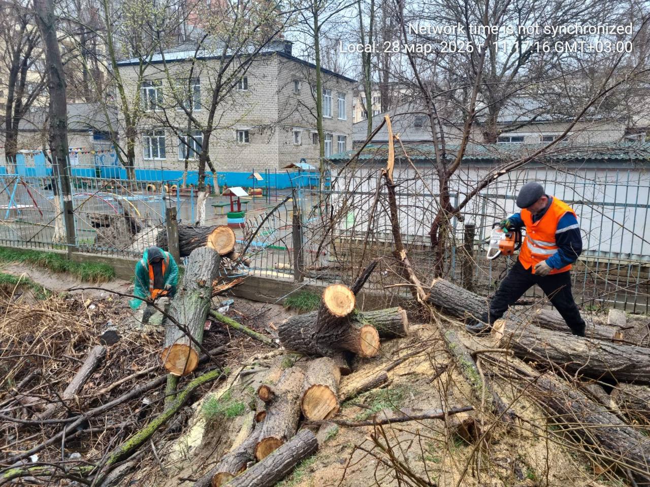 Коммунальные службы Махачкалы оперативно отреагировали на факты падения деревьев из-за сильного ветра и обильных осадков – проводится спил аварийных стволов и вывоз порубочных остатков