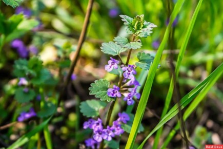 �����: ������� ��������� �������