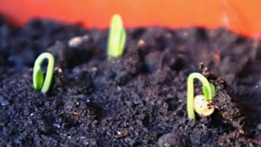 ��� �������� �������� � ��������� � ������� �����: ������� ��������� ������