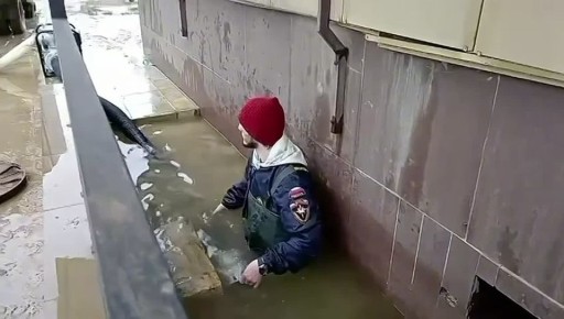 ����� ���������� ���������� ����������� � ��������������� �����������