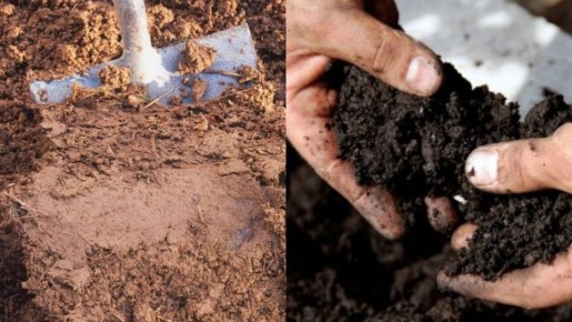 Как успешно разрыхлить глинистую почву: эффективные методы улучшения участка