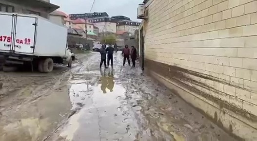 ������������ ������ �� ������� ���� �� ����� �����