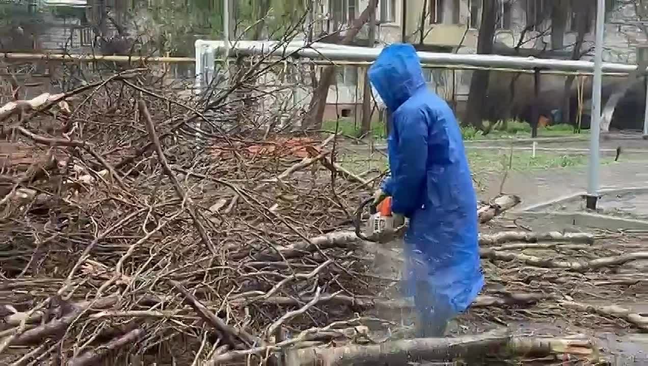 Коммунальные службы-. Управление ЖКХ и МБУ «Благоустройство» г.Махачкалы устраняют последствия непогоды: организован вывоз поваленных деревьев