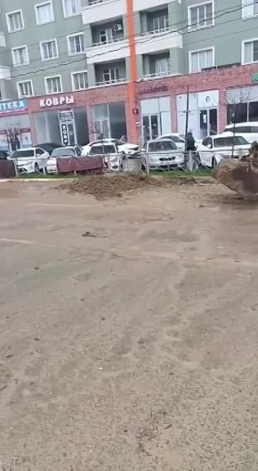 � ������ ���� ���������� ������������ ����� �������� ���������� ������ ����, ������ �� �� ��� � �������� �������