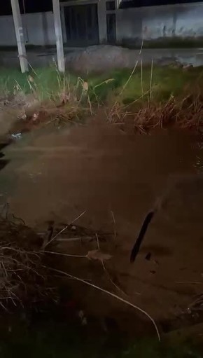 ������������� ������������ ������� �� ������� ��������� ������� �� ����� ������