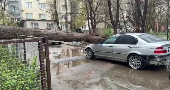 �� ����� ������� �������� ������ ����� �� ������