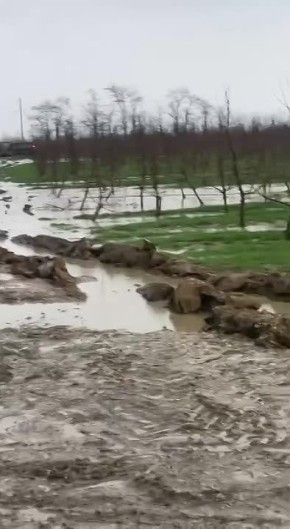 � ��������� ��-�� ������� ������� ������� ����, ���������� ������ � ����