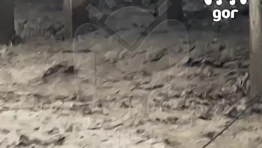 Двух собак унесло течением в Хасавюрте