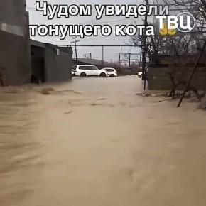 ������� �������� ������� ������ ���������