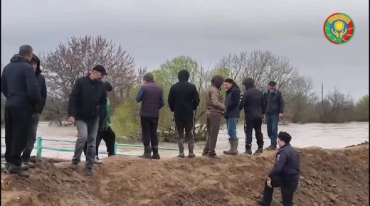 ����������� ���������� � ���������� ����������� ������� � �������������� ������