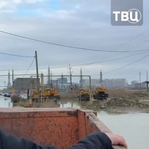 ������ ���� ������������� ������������ � ��������� ����� ����������