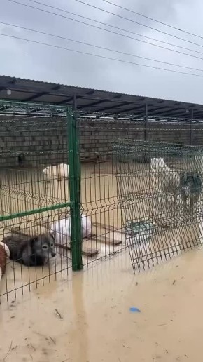 ������� ������ ������� �������� ����� ������� � ���������