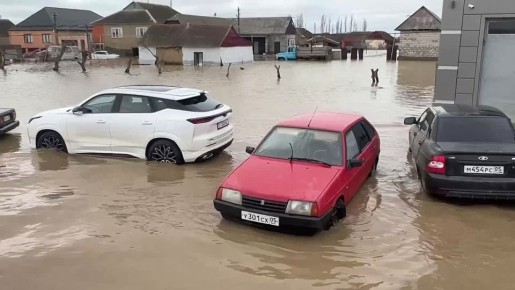 ������� ��������� �������� ������������ ��������� � ���� ����� ������� ��������������� ������