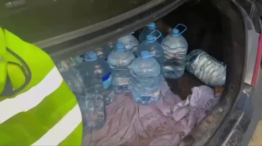 ���������� ���������������-����������� �������� ���������� �������� ������ �� ������� �������� ���� ��� ���������