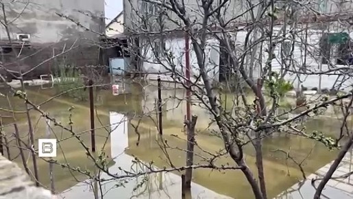 ��������� �� "�����" ���� �������� �������� ����� ����������� ���������� � ���������