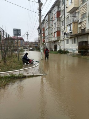 ����������� ����� � ����������� �������� ���� �� ����� �� ������ ���������� � 65-����� ������