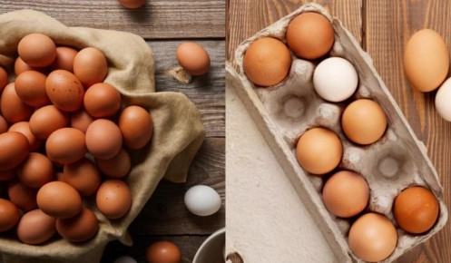 ��� ��������� ������� ���� ������� ����� ���