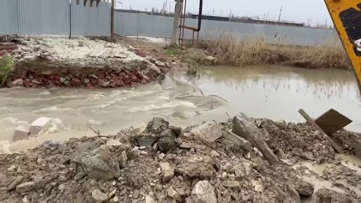 ������ ������������ ���������� ������������� �. �������� � ��������� ������ ���������� �� ��������� ����� ������