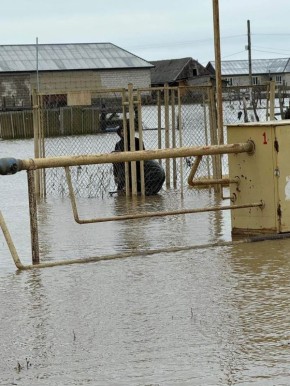 � ����� � ���������� ��������� � �������������� ������, ��������� ��������� ��������, ������� �� �� ������� ������ ����� ������ �� ����� ����������� ���������� ������� �����-���� � �����-����