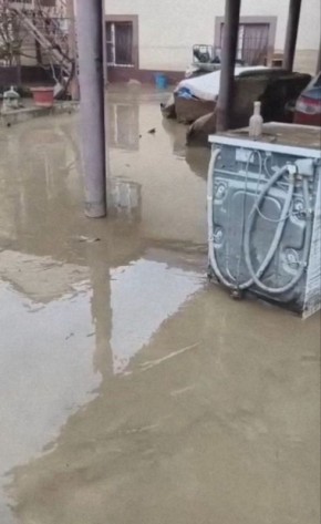 �������� �� �� ������� �������������� � ��� ������ ��������� � ������� ����� �����, �������� � ��������, ������������� �� ��������� �������