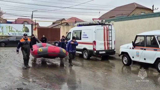 ���������� ������ ��������� ���������� ������������ ������� �� ����������� ������� ��������� � �. ��������� ��������������� ������