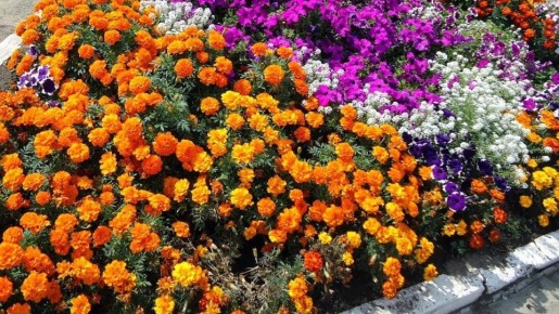 ��� ����������� ����� � ������� ������ ��� ������: ������� � ����������� �����